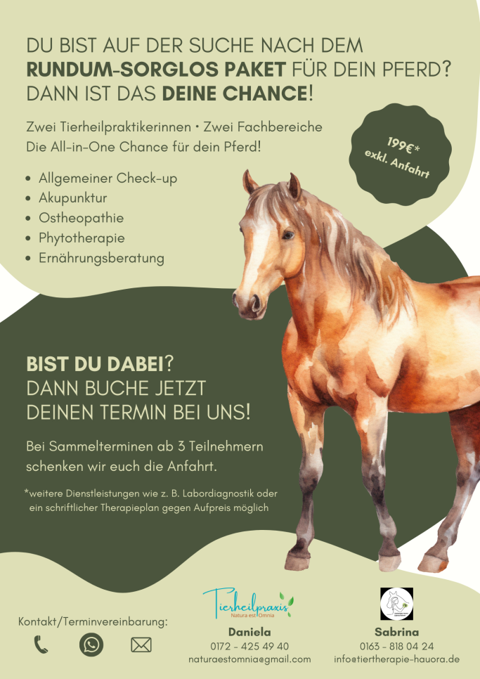 All-in-One Paket für Pferd und Pony